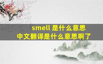 smell 是什么意思中文翻译是什么意思啊了